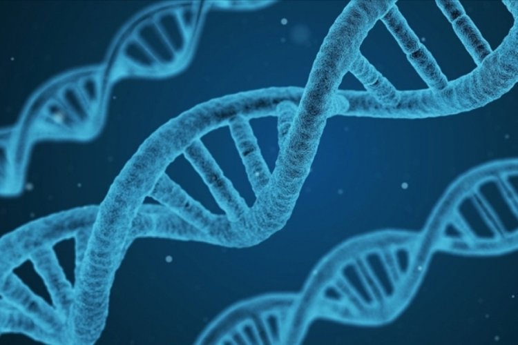 ABD'de akrabalarını arayan milyonlarca kişinin bilgileri &ccedil;alındı!