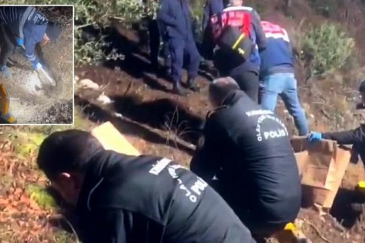 Sopayla &ouml;ld&uuml;r&uuml;p g&ouml;md&uuml;ğ&uuml; arkadaşının 3 yıl boyunca emekli maaşını &ccedil;ekti!