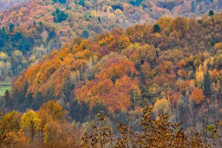 Bursa'da dağlarda ve ovalardaki sonbahar manzaraları