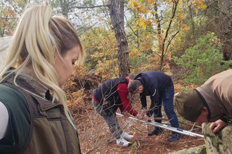 &Ccedil;anakkale'de kuyuya d&uuml;şen porsuk Doğa Koruma ekibince kurtarıldı