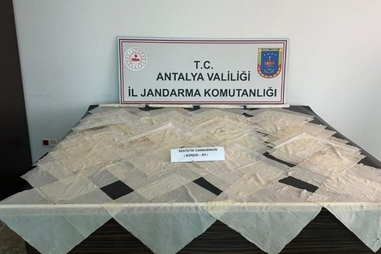 Antalya'da piyasa değeri 2 milyon TL olan bonzai ele ge&ccedil;irildi