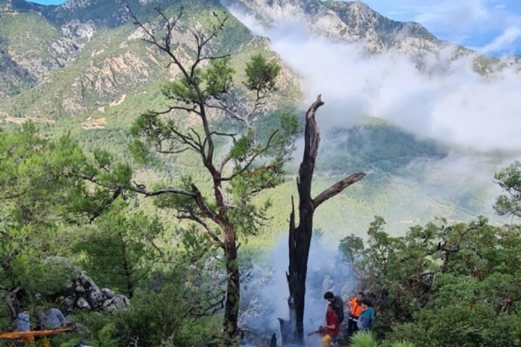 Muğla'da orman yangını