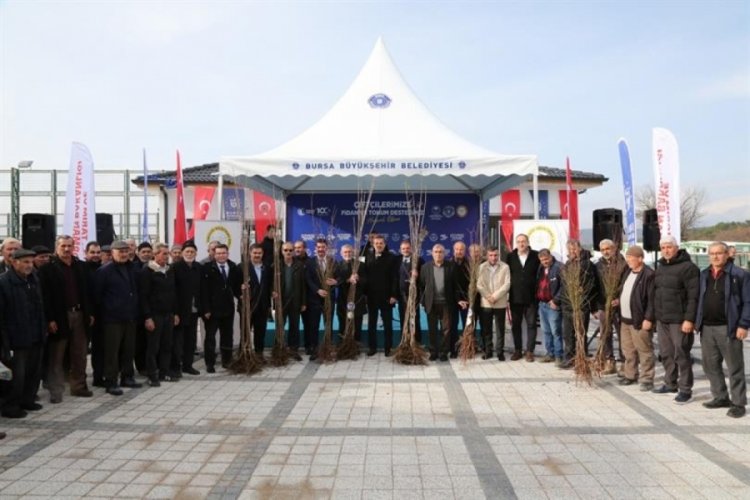 Bursa'da &uuml;reticilere tohum ve fidan dağıtıldı