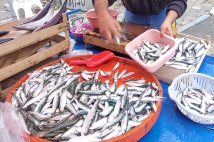 Fırtına balık fiyatlarını u&ccedil;urdu