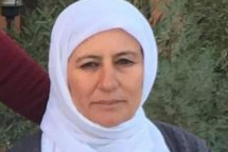 Mardin'de otomobilin &ccedil;arptığı kadın hayatını kaybetti