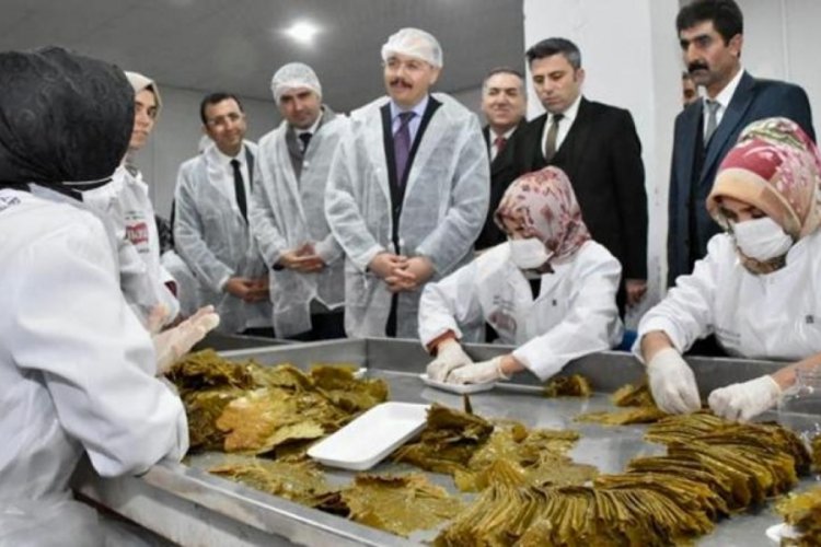 Siirt'te 7 kadın bir araya gelerek 650 bin TL'ye tesis a&ccedil;tı!