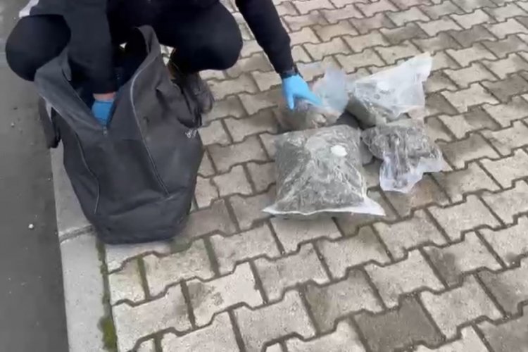 Samsun'da TIR'daki 3 kilo 950 gram uyuşturucuyu Tony buldu