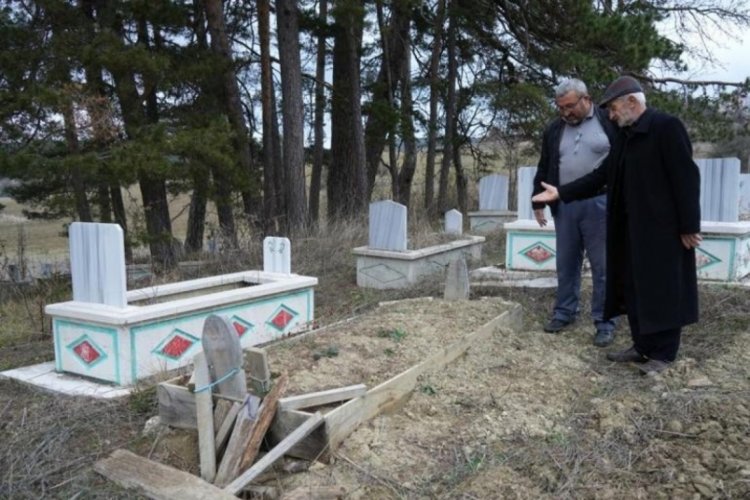Kastamonu'da kış uykusuna yatamayan ayılar, mezarları kazmaya başladı