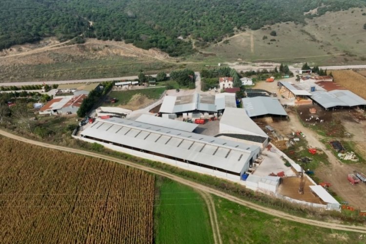 Bursa'da iki kardeş m&uuml;hendisliği bırakıp &ccedil;iftlik kurdu!