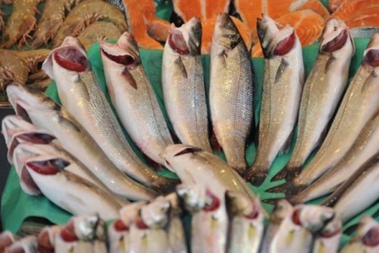Egeli balık&ccedil;ıların ihracatı 1 milyar doları aştı