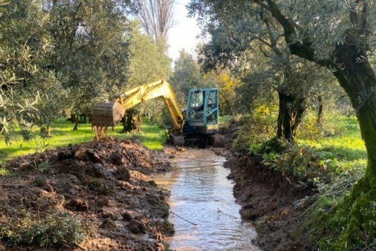 Bursada Bug&uuml;n g&uuml;ndeme getirmişti: Tarlalara lağım akıtan derelerde ıslah &ccedil;alışması başladı!
