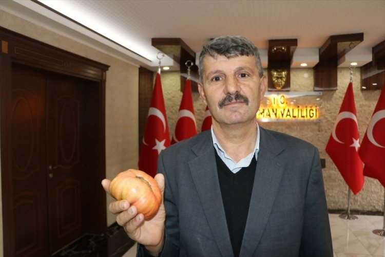 Batman'ın o &uuml;r&uuml;n&uuml; tescillendi