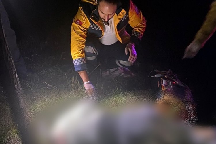 Arızalanan TIR'ını tamir etmek i&ccedil;in durdu! Hayatını kaybetti