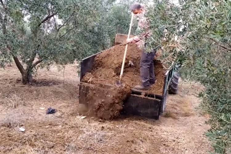 Bursa'da y&uuml;ksek fiyatlar &ccedil;ift&ccedil;iyi eskisi gibi kara g&uuml;breye y&ouml;neltiyor!