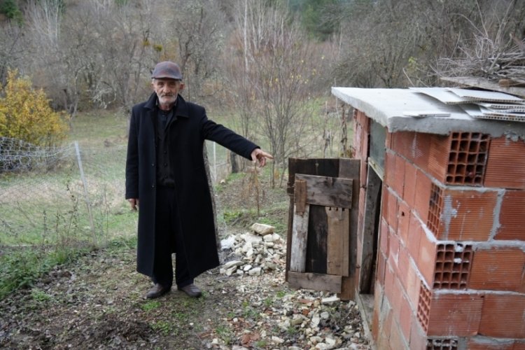 Kastamonu'da ayı, girdiği k&uuml;meste tavukları telef etti!