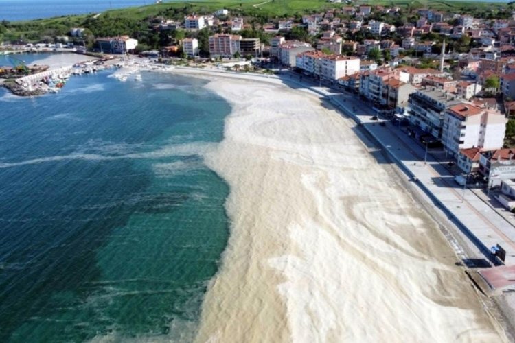 Marmara Denizi'nde tehlikeli ısınma