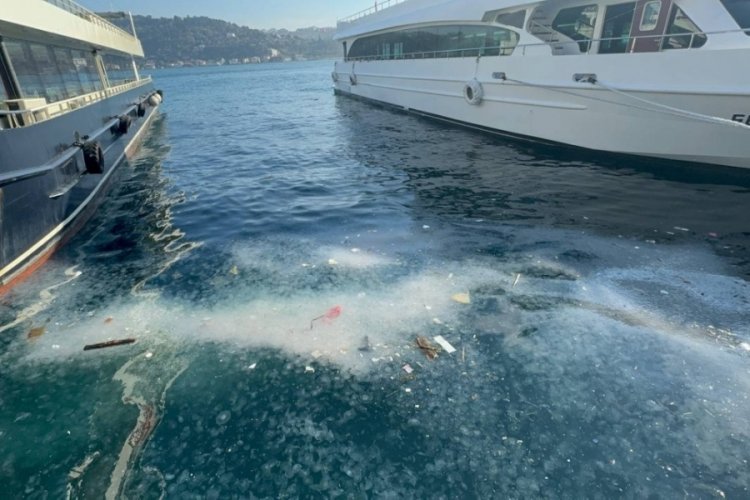 İstanbul Arnavutk&ouml;y sahilinde kirlilik nedeniyle denizanaları g&ouml;r&uuml;ld&uuml;