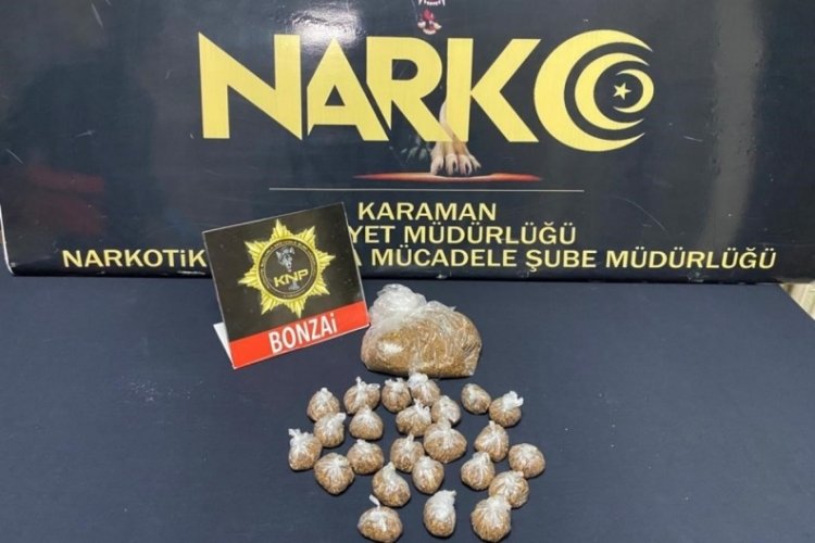 Karaman'da evinde bonzai ele ge&ccedil;irilen şahıs tutuklandı