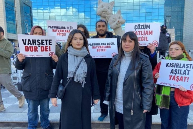 Ankara'da sokak k&ouml;peklerinin toplanmasına tepki!