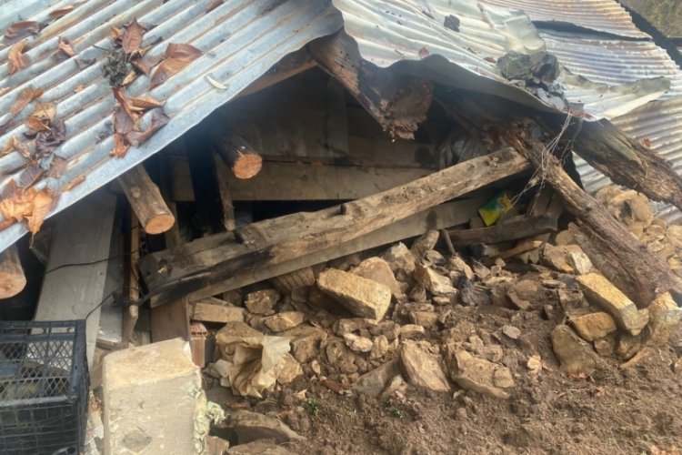 Artvin'de toprak kayması