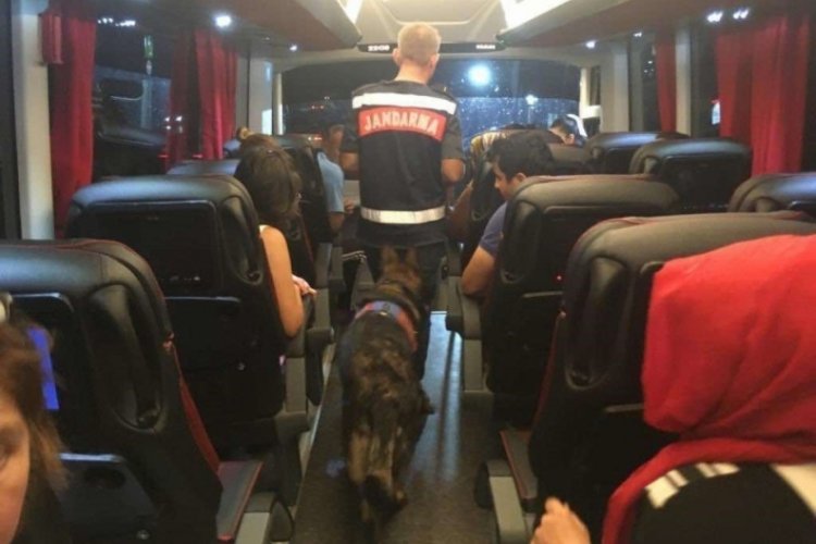 Aydın'da uyuşturucu ile seyahate narkotik k&ouml;peği engeli