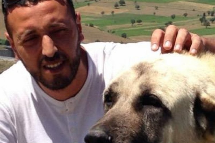 K&ouml;pek saldırıları i&ccedil;in T&uuml;rkoğlu uyardı: G&ouml;z teması kurmayın