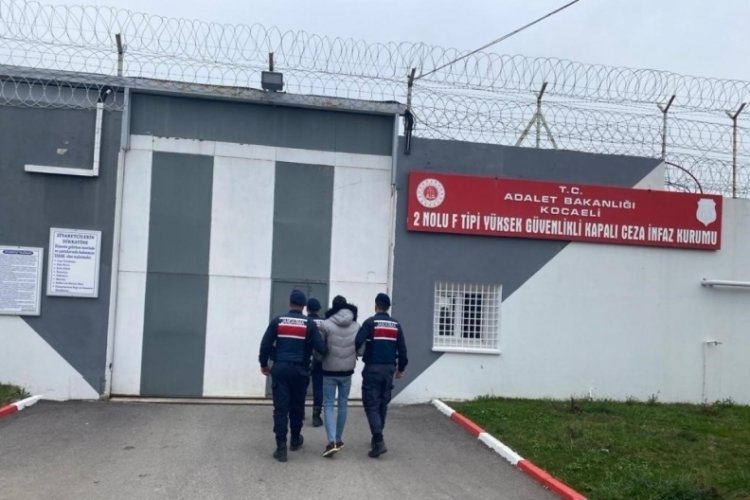 Kocaeli'de PKK/PYD ter&ouml;r &ouml;rg&uuml;t&uuml; mensubu 1 kişi yakalandı