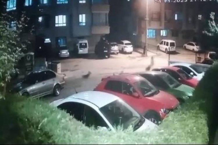 Ankara'da k&ouml;pek saldırısından kızını korumak i&ccedil;in koşarken kucağındaki &ccedil;ocuğuyla yere d&uuml;şt&uuml;