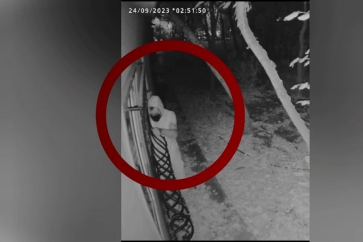 Diyarbakır'da hırsızlara ''Alb&uuml;m'' operasyonu: 25 g&ouml;zaltı