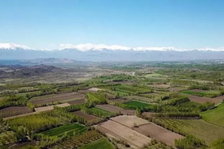 Arazi fiyatındaki artış y&uuml;zde 100'e dayandı! Bursa, birinci sıraya yerleşti