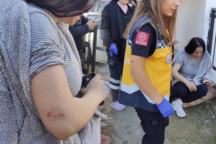 Aydın'da Pitbull dehşeti! Saldırdığı k&ouml;peğin sahibini yaraladı