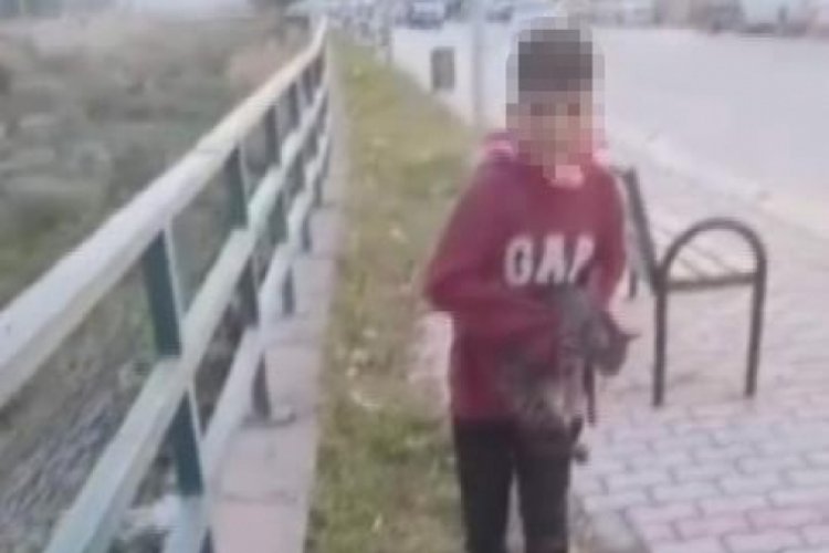 TikTok'ta paylaşmak i&ccedil;in acımasızca g&ouml;r&uuml;nt&uuml;leri kaydetmişti, sınır dışı edilecek