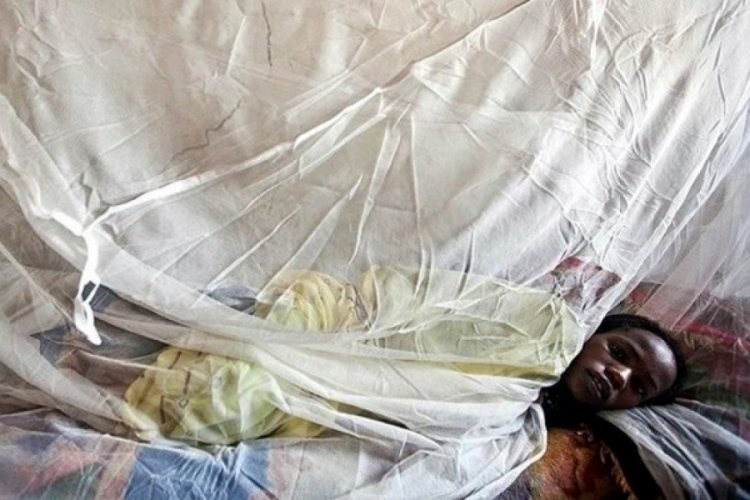 Nijerya'da Lassa ateşi salgını: 200 &ouml;l&uuml;