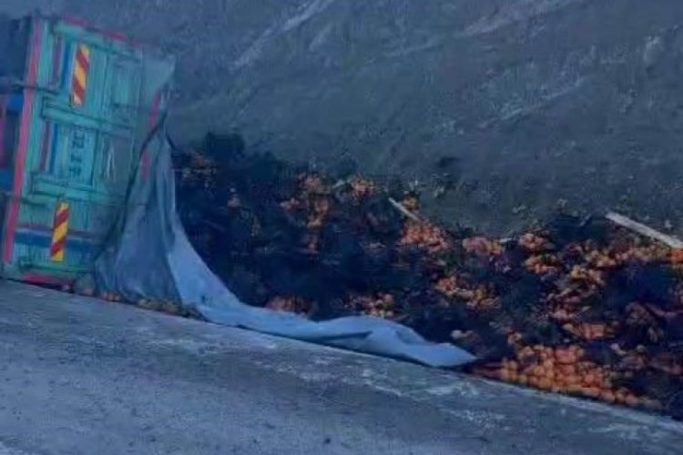 Elazığ'da mandalina taşıyan kamyon yan yattı!