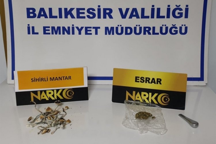 Polisten 'sihirli mantar' operasyonu