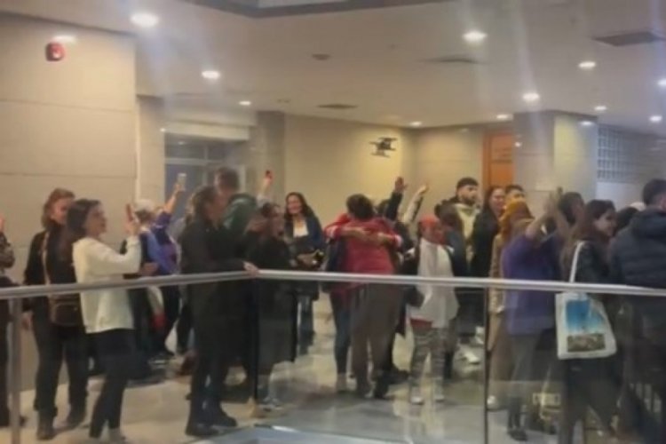 İstanbul'da kedileri &ouml;ld&uuml;ren sanık hastanede g&ouml;zlem altına alınacak!
