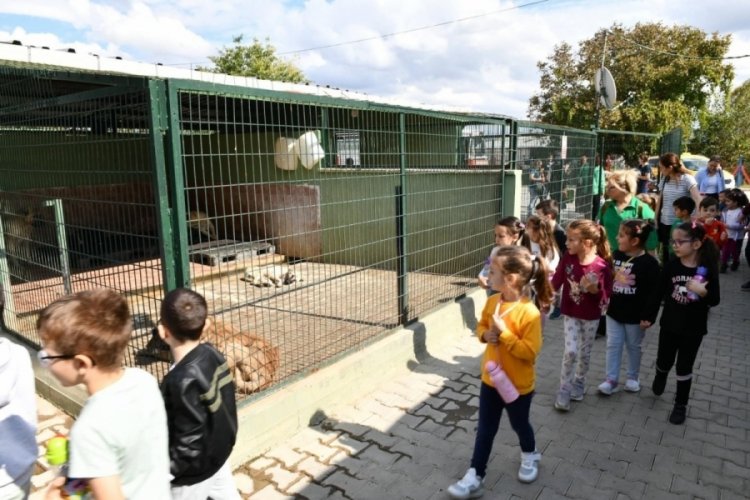 Mustafakemalpaşa Hayvan Barınağı binlerce can dostuna yuva oldu