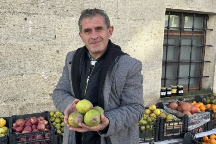 Sinop'ta kış armudu sezonu başladı! kilosu 50 lira
