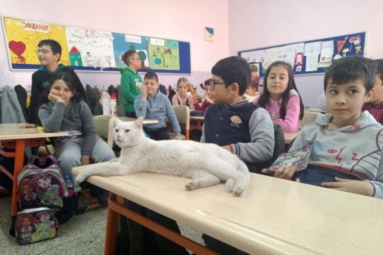 Eskişehir'de ''&Ccedil;akıl'' okulun maskotu oldu