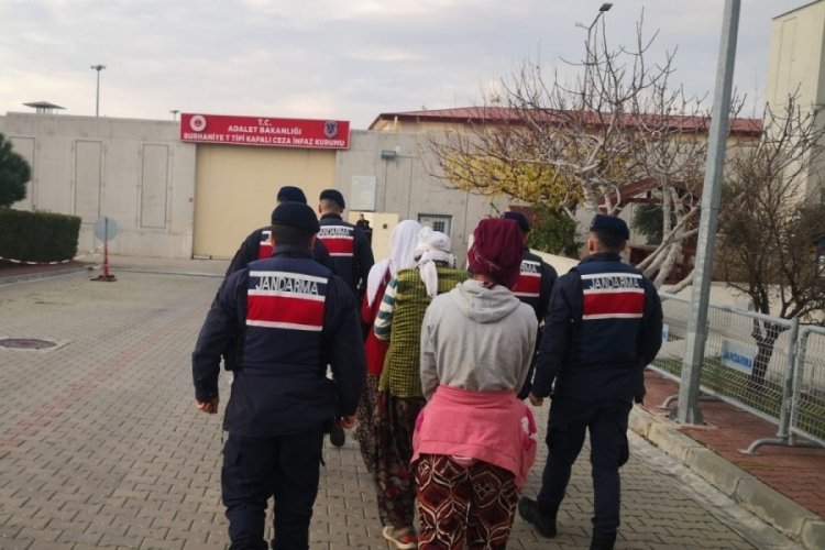 Balıkesir'de zeytin hırsızları jandarma tarafından su&ccedil;&uuml;st&uuml; yakalandı