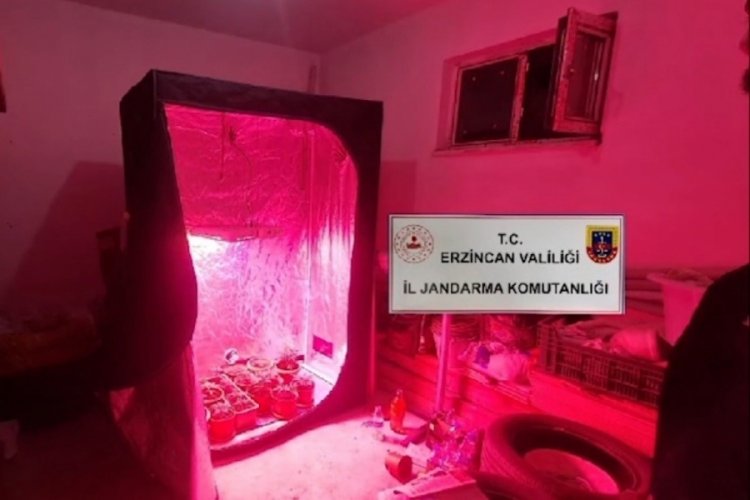 Erzincan'da Hint keneviri yetiştirmek i&ccedil;in kurduğu d&uuml;zenek şaşkına uğrattı