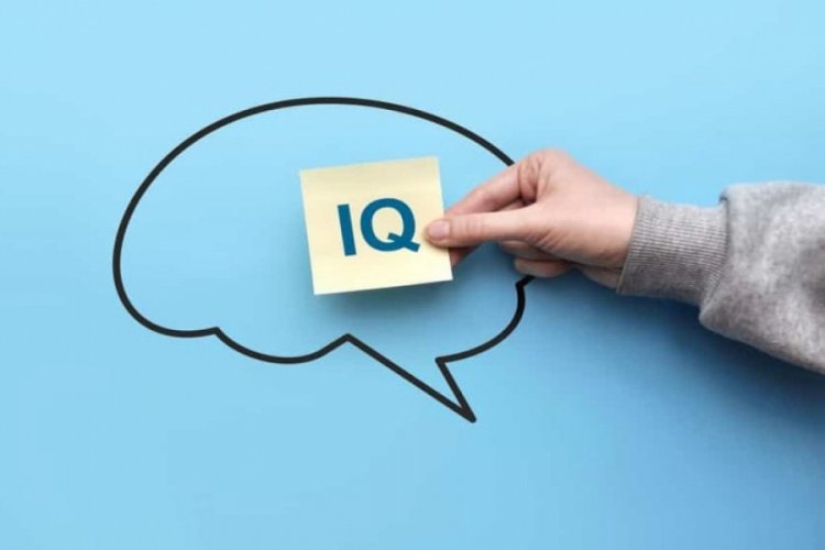 T&uuml;rkiye'de illerin IQ ortalaması belli oldu: Bursa ka&ccedil;ıncı sırada?