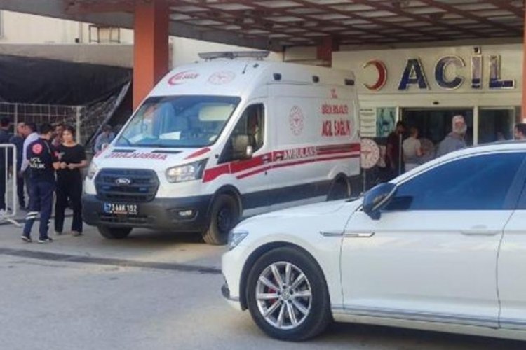 Şırnak'ta taşlı, sopalı kavga