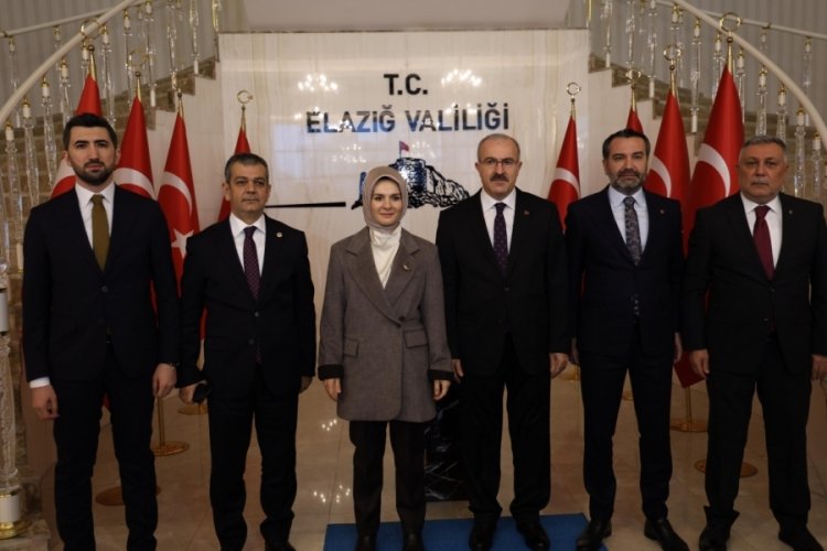 Aile ve Sosyal Hizmetler Bakanı G&ouml;ktaş, Elazığ'da