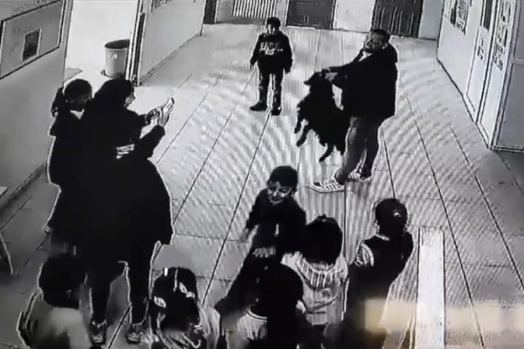 Yağmurdan ka&ccedil;an ke&ccedil;i okula sığındı