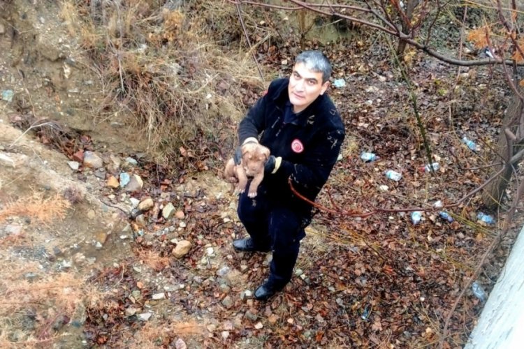 &Ccedil;ankırı'da istinat duvarından d&uuml;şen k&ouml;pek kurtarıldı