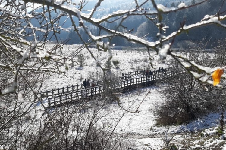 Bolu Abant'ta dağlar beyaz &ouml;rt&uuml;yle kaplandı
