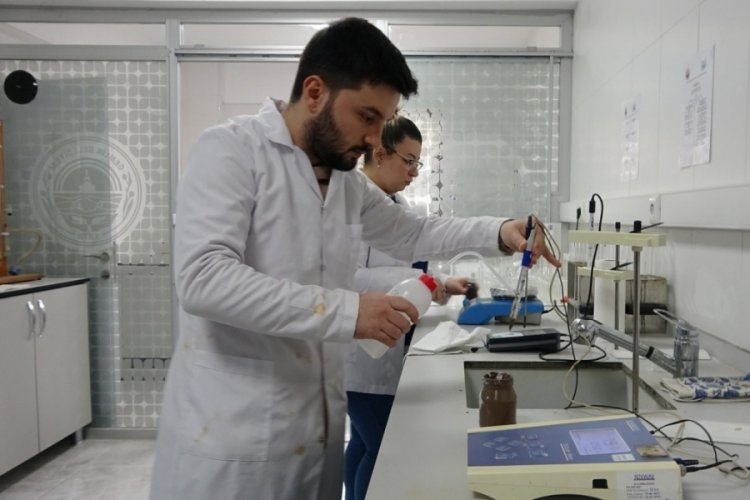 Bursa'da zeytinin verimliliği i&ccedil;in toprak analizleri başladı