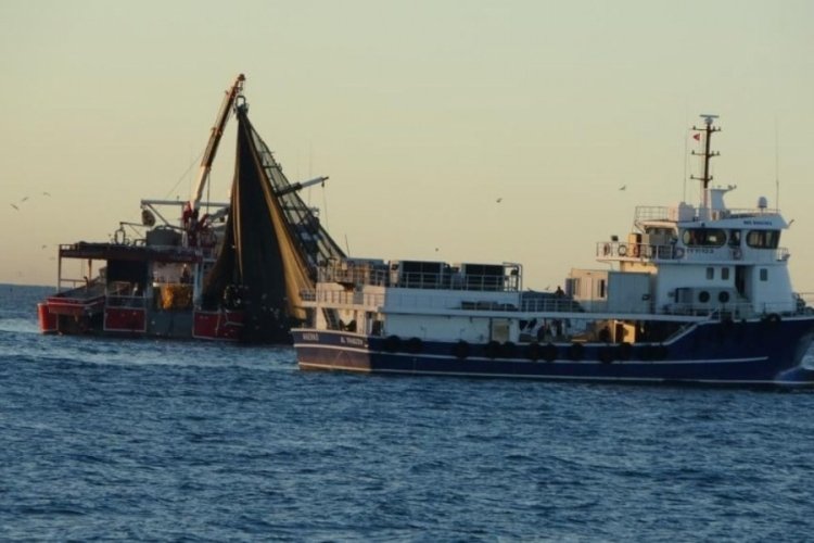 Trabzonlu balık&ccedil;ıların rotası G&uuml;rcistan! Yeni balık avı başlıyor