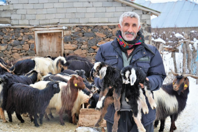 Muş'ta y&uuml;ksek rakımlı k&ouml;yler kara g&ouml;m&uuml;ld&uuml;